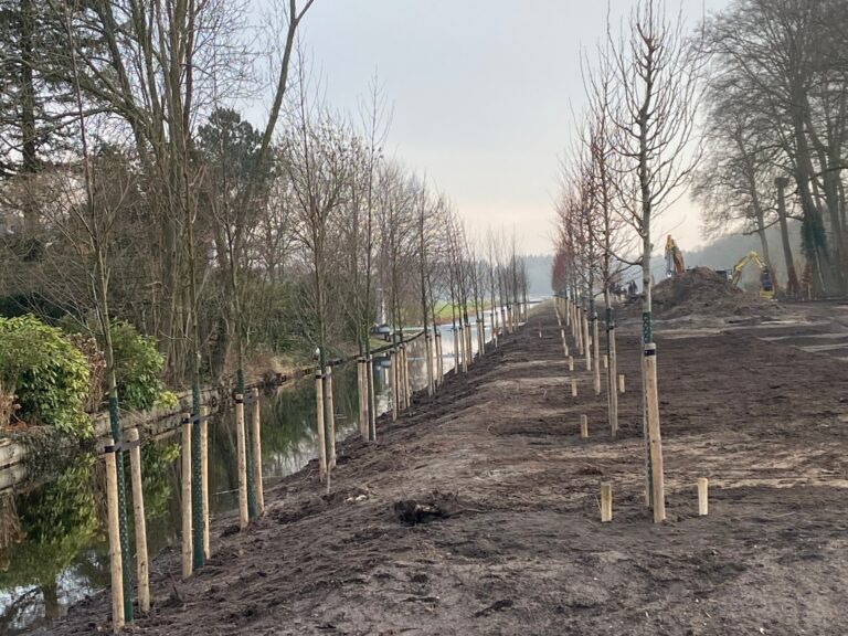 Groen keert terug in de tuin van Buitenplaats Trompenburgh