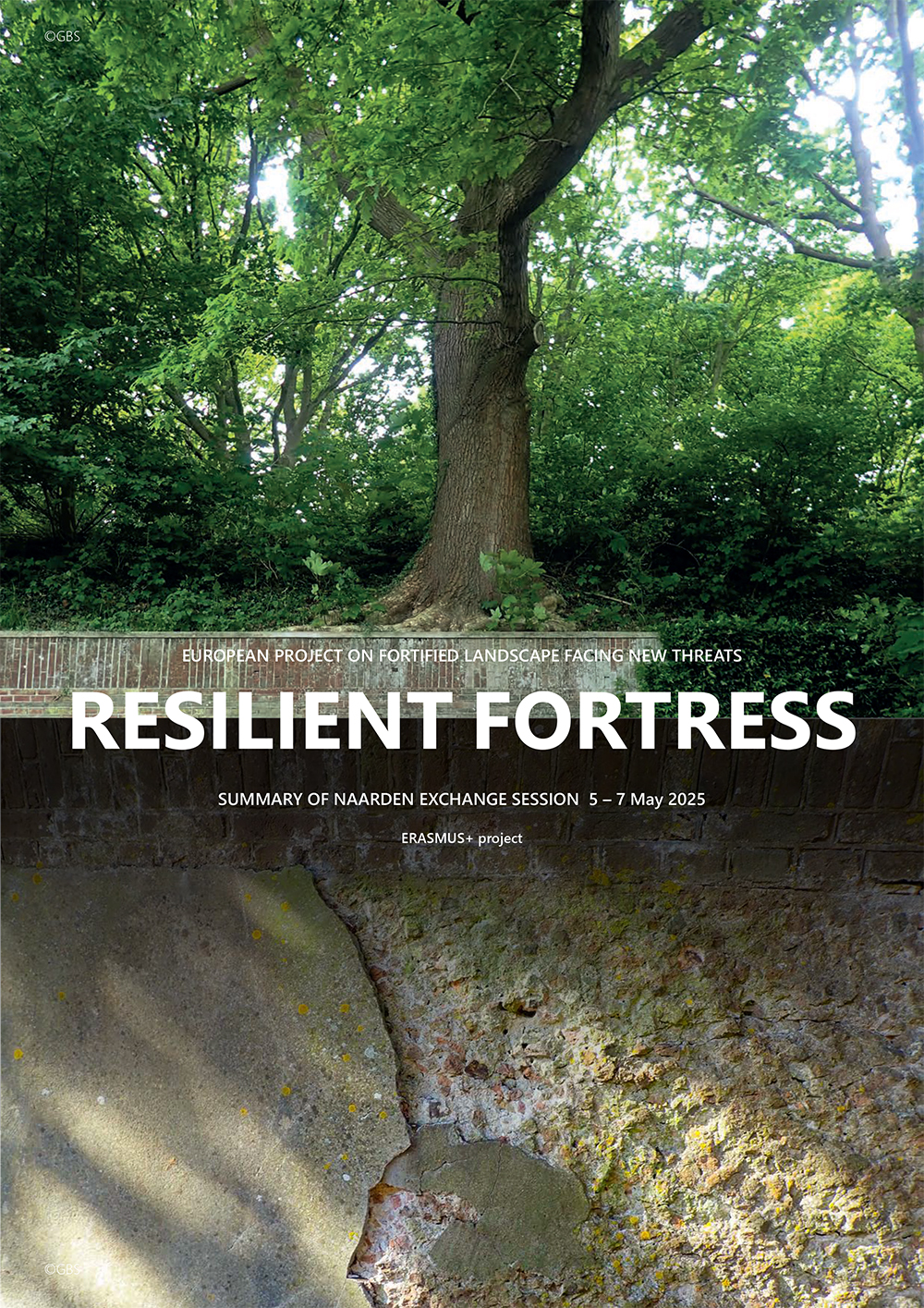Publicatie: Resilient Fortress